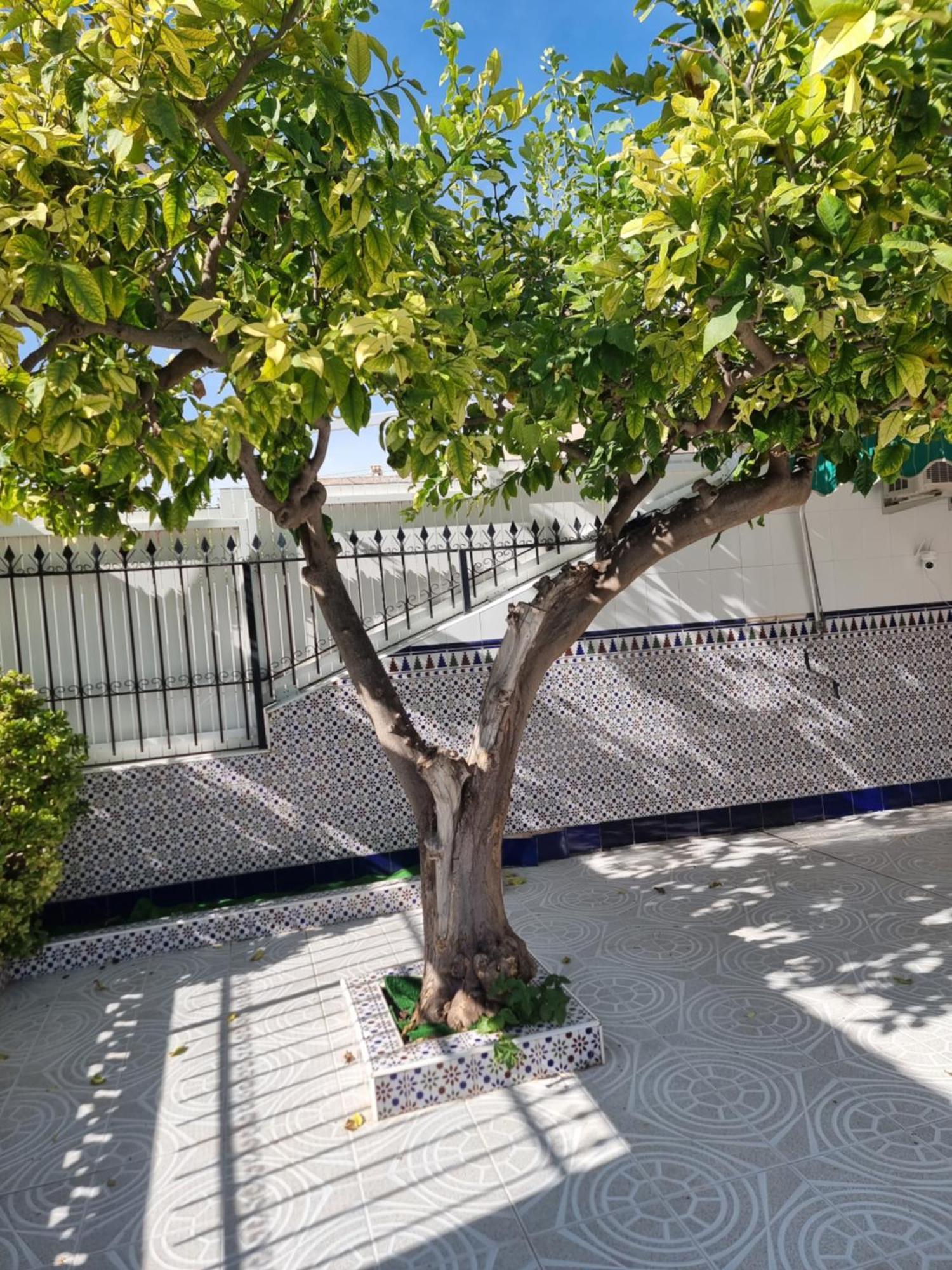 Casa Tranquila Cerca Del Mar Villa Santiago De La Ribera Bagian luar foto